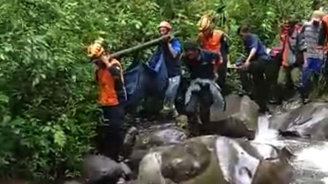 Tertimpa Pohon Coban Glothak, 2 Wisatawan Batu Tewas