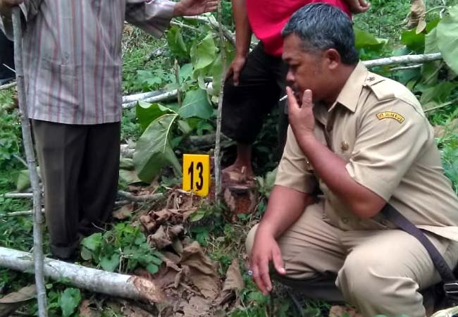 Warga Sumawe Ancam, Tebang Kayu Ditanah Bengkok Kades