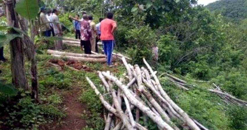 Mantan Kades Sumawe Jalani Sidang Perdana di PN Kepanjen, Terkait Pencurian Kayu Jati Tanah Bengkok