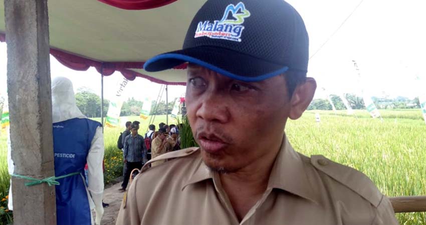 Kepala Dinas Ketahanan Pangan Kabupaten Malang, M Nasri Abdul Wahid. (sur).