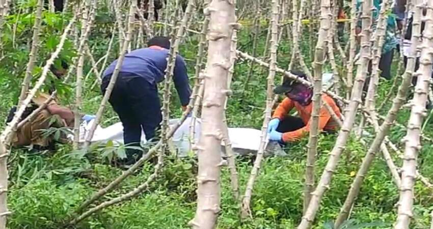 Proses evakuasi jenazah A (13) dari tengah ladang singkong.