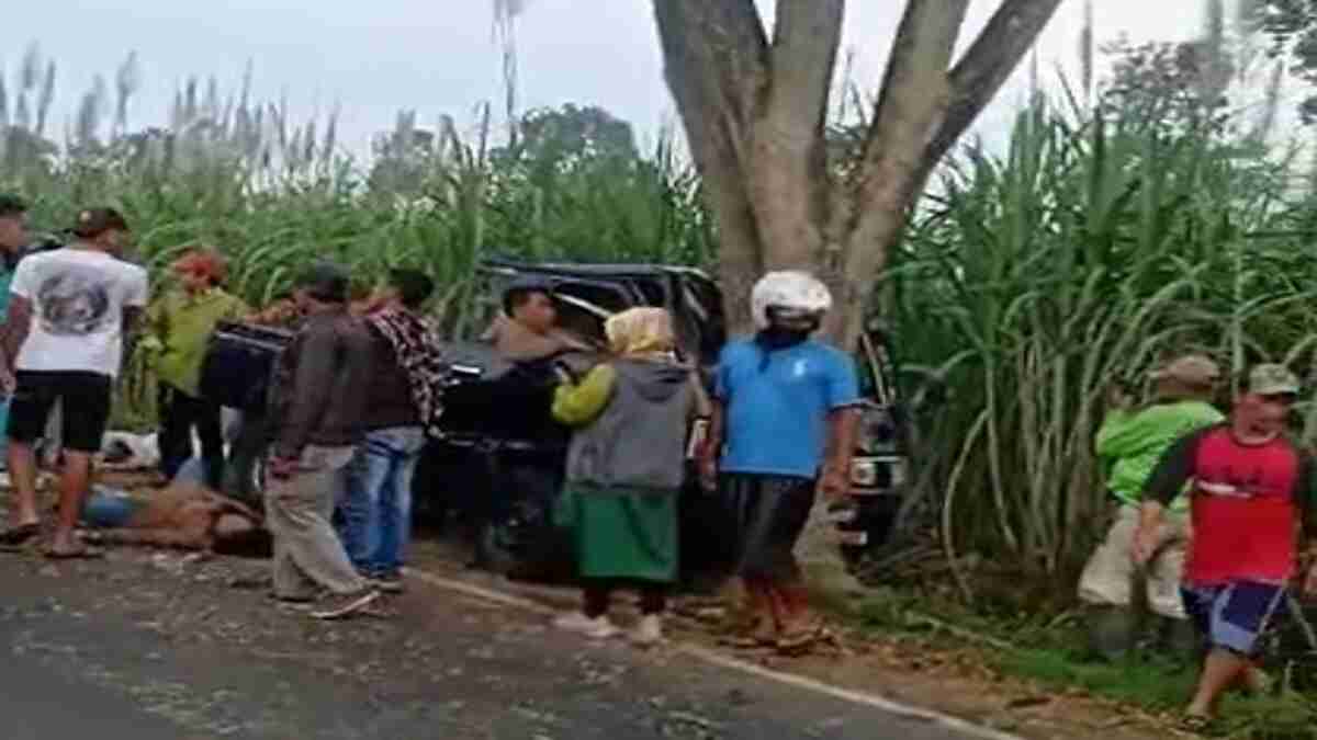 Mobil Pikap Nabrak Pohon, 7 Penumpang Tewas dan 5 Luka Berat