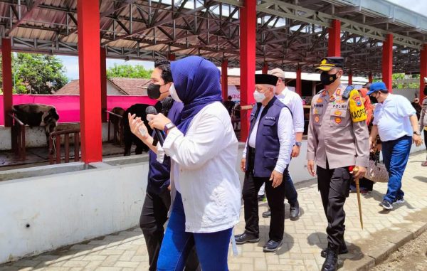 Dampingi Menteri BUMN Tinjau Kandang Komunal Penggemukan Sapi Berbasis IOT, Bupati minta Edukasi Digitalisasi Diterapkan di Kabupaten Malang