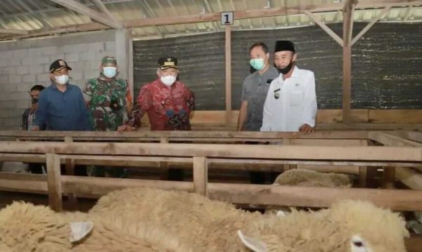 Bupati Sanusi Resmikan Gedung dan Launching Unit Usaha Peternakan Kambing milik BUMDes di Ampelgading Malang