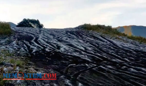 Fenomena Embun Es Mulai Muncul di Kawasan Gunung Bromo