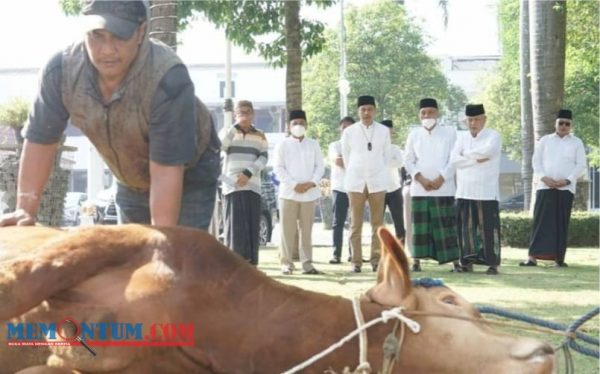 Bupati Malang bersama Ketua TP PKK dan OPD Ikuti Prosesi Kurban di Pendopo Agung