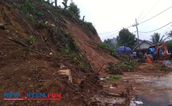 Sempat Tertimbun Matrial Longsor, Jalan Utama Antar Desa Menuju Pujiharjo Kembali Normal