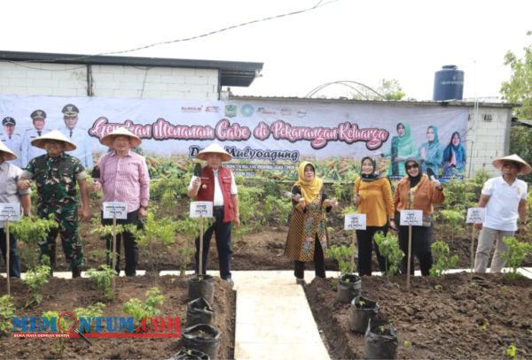 Tekan Inflasi, Bupati Malang Dorong Gerakan Menanam Cabai dan Budidaya Ikan