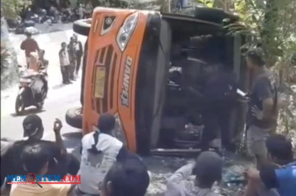 Bus Rombongan Wisatawan dari Kabupaten Malang Terguling di Gunungkidul