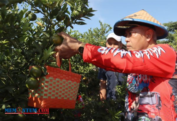 Dongkrak Wisata dan UMKM, Bupati Malang Jelajah Desa Wisata di Lima Titik Kecamatan Dau